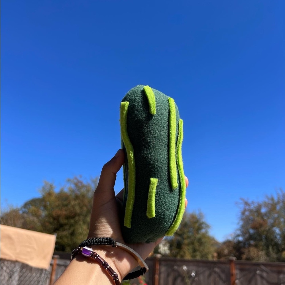 Mr pickle